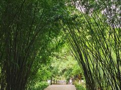 -英西峰林·洞天仙境