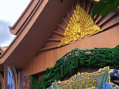 -西双版纳原始森林公园