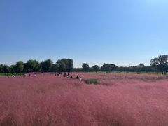 -汉长安城未央宫国家考古遗址公园