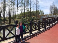 -上海长兴岛郊野公园