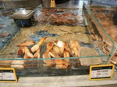 -顺风山庄(水濂山店)