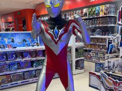 -TOYSRUS玩具反斗城(上海万象城店)