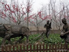 -合肥滨湖国家森林公园