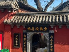 -少林寺欢喜地素斋馆