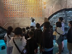 -陕西自然博物馆