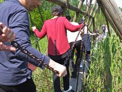 -溱湖国家湿地公园