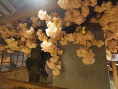 -九田家黑牛烤肉料理(太阳宫广场店)