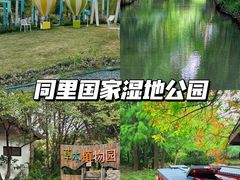 -同里国家湿地公园