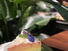 -UMe·玖觅(曲江店)