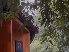 -春风习习