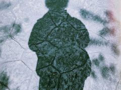 -高东镇樱花园