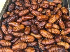 -望江饭店(13年精品店)