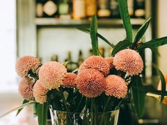 -Ginger(兴国路店)