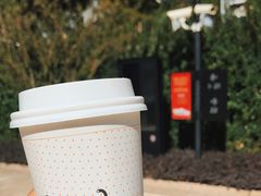 -Seesaw Coffee(上生新所店)