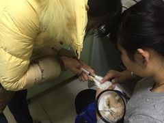 -纳吉亚猫专科动物医院博雅分院