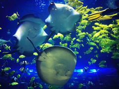 -华夏文旅西安度假区