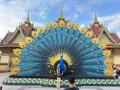 -西双版纳勐泐文化旅游区