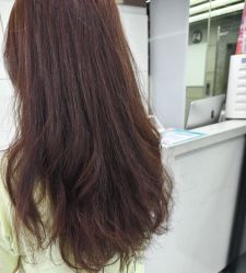 -镁连社·美联社