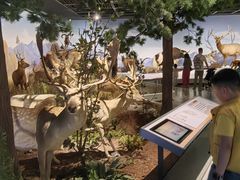 -陕西自然博物馆