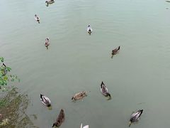 -桃源咖啡厅(武夷山大红袍山庄店)