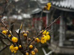 -无锡梅园公园