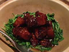 红烧肉-西郊5号·Maggie 5