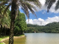 -深圳仙湖植物园