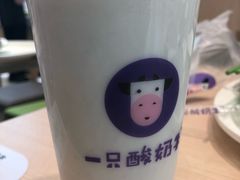 -一只酸奶牛(益州国际店)