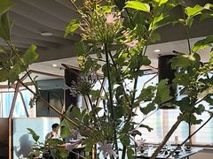 -王家渡火锅店(亦庄店)