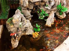 -九花山烤鸭店