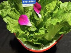 -舞虾小说.涮肉.烧烤(国顺东路店)