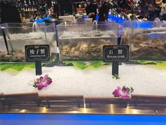 -宴立方海鲜自助(义乌万达广场店)