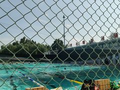 -昌平体育局室外游泳馆