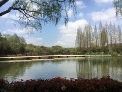 -黄兴公园
