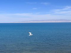 -青海湖国家重点风景名胜区