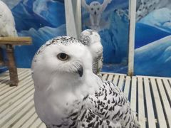 -成都浩海立方海洋公园