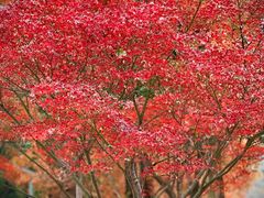 -湖南烈士公园(芙蓉区)