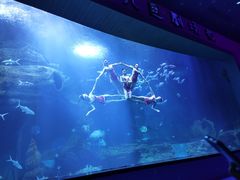 -多彩贵州城极地海洋世界