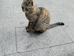 -荔枝公园(福田区)