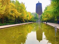 -玲珑塔公园