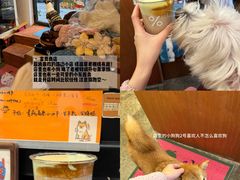 -剧狐剧本杀·月球探案馆(人民广场1号店)
