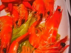 -1937青岛老味道·海肠捞饭·青岛菜(大鲍岛栈桥店)