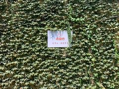 -宅里香.自然餐厅(湘大店)