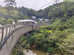 -云溪植物园