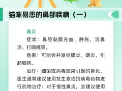 -瑞派申生动物医院·24H夜诊·国际动物医疗中心·骨外科(吴中路店)