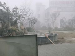 -九尺赵老四鲜鹅肠火锅