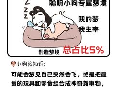 -美联众合动物医院·24h转诊中心