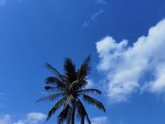 -海南热带海洋学院(三亚校区)