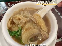 -大中鱼翅 Taitong Shark Fin