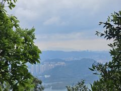 -梧桐山风景名胜区